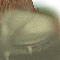 WiggleField Textures