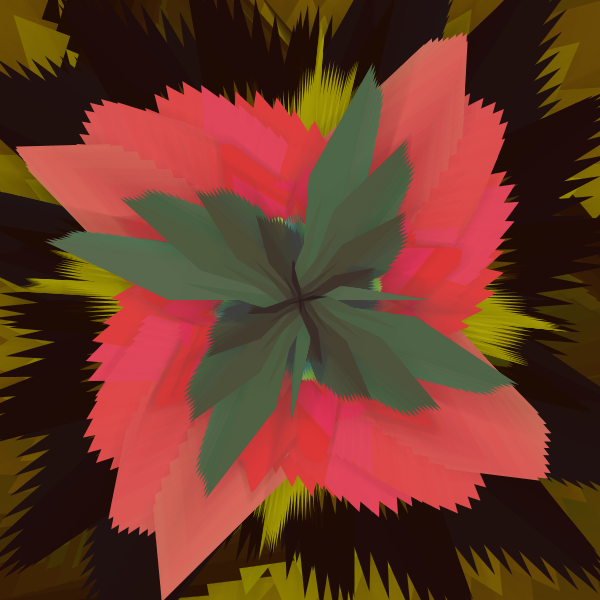 Aloe polyphylla Colorifica